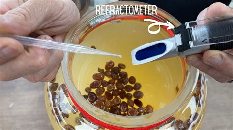 refractometer for mash